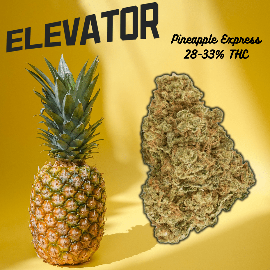 Elevator Pineapple Express Flower - 28g 28g Morden Vape SuperStore and Cannabis Manitoba Canada