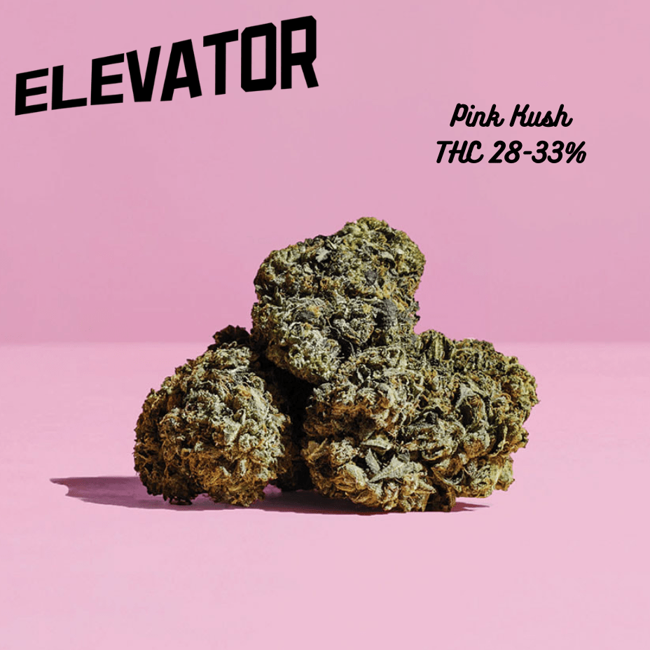 Elevator Pink Kush Flower - 28g 28g Morden Vape SuperStore and Cannabis Manitoba Canada