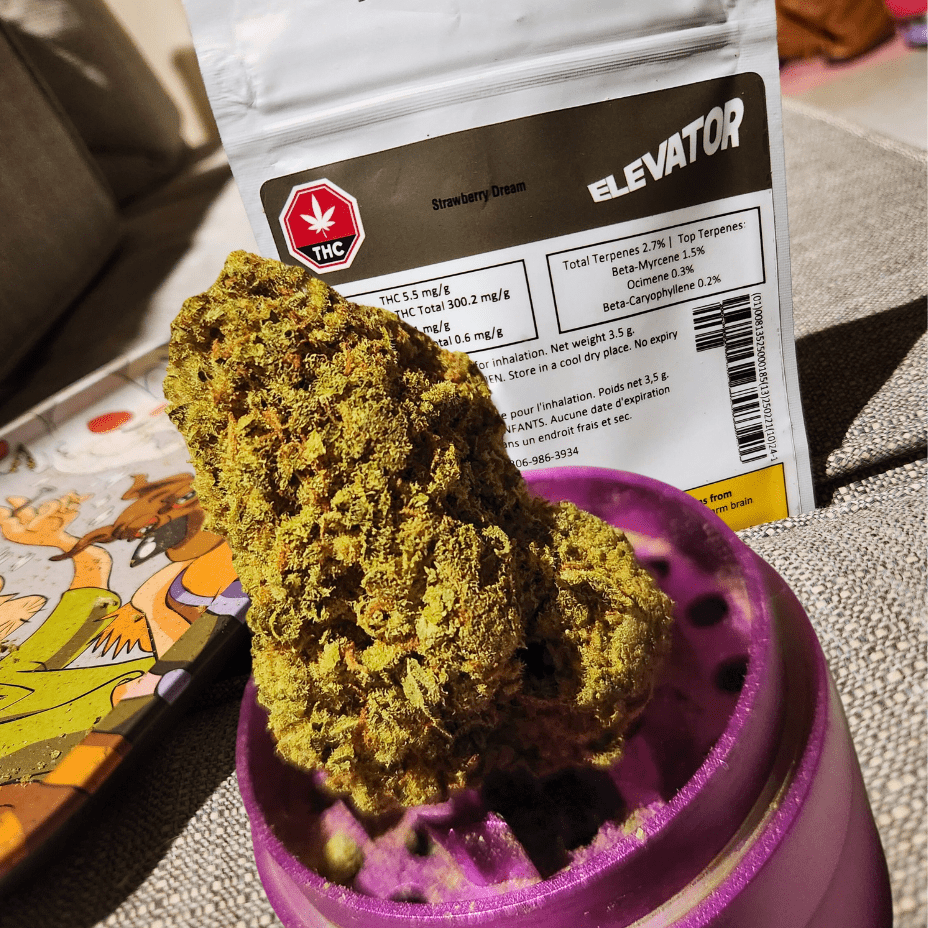 Elevator Strawberry Dream Sativa Flower-3.5g 3.5g Morden Vape SuperStore and Cannabis Manitoba Canada