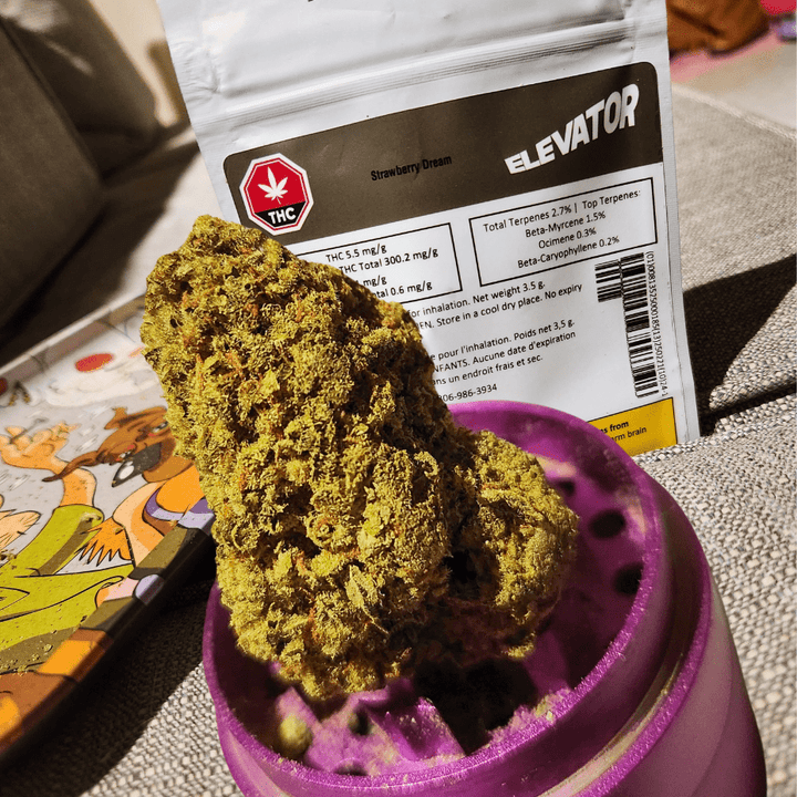 Elevator Strawberry Dream Sativa Flower-3.5g 3.5g Morden Vape SuperStore and Cannabis Manitoba Canada