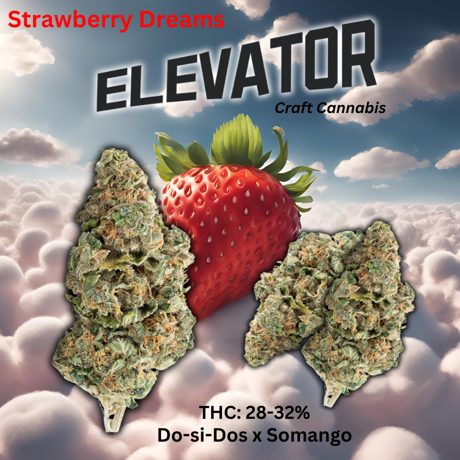 Elevator Strawberry Dream Sativa Flower-7g 7g Morden Vape SuperStore and Cannabis Manitoba Canada