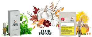 Floresense 510 Cartridges-Morden Vape SuperStore & Cannabis