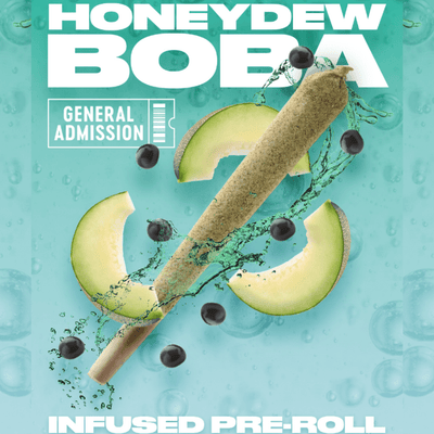 General Admission Honeydew Boba Distillate Infused Sativa Pre-Roll-1x1g-Morden Cannabis
