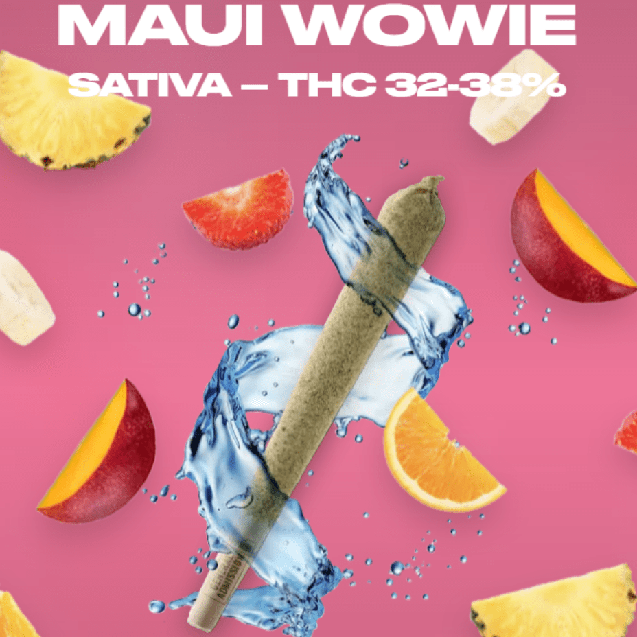General Admission Maui Wowie Sativa Infused Pre-Rolls-3x0.5g-Morden Cannabis 