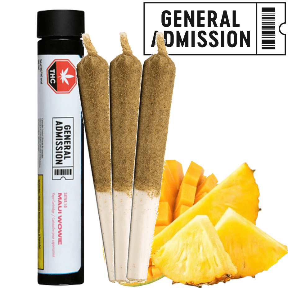 General Admission Maui Wowie Sativa Infused Pre-Rolls-3x0.5g-Morden Cannabis