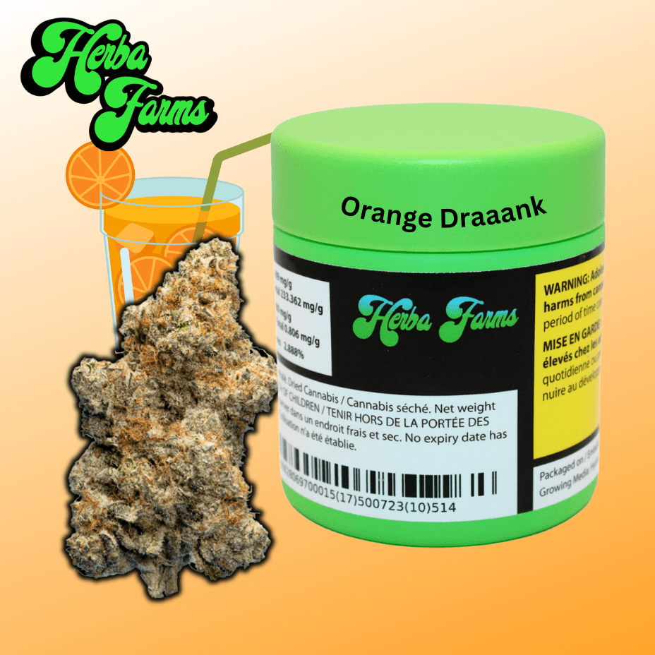 Herba Farms Orange DrAAAnk Hybrid Flower-7g 7g Morden Vape SuperStore and Cannabis Manitoba Canada