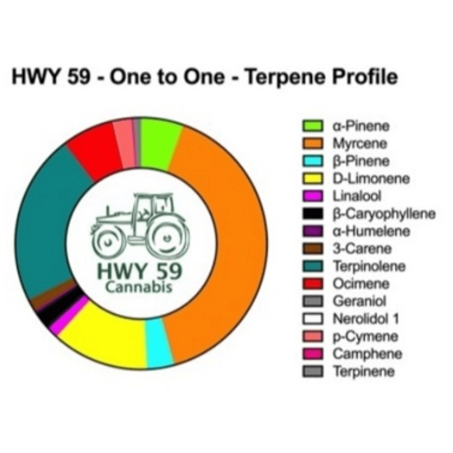 Hwy 59 Cannabis Disposables 2g HWY 59 1:1 Live Terpene Hybrid Disposable Vape-2g-Morden Cannabis MB 