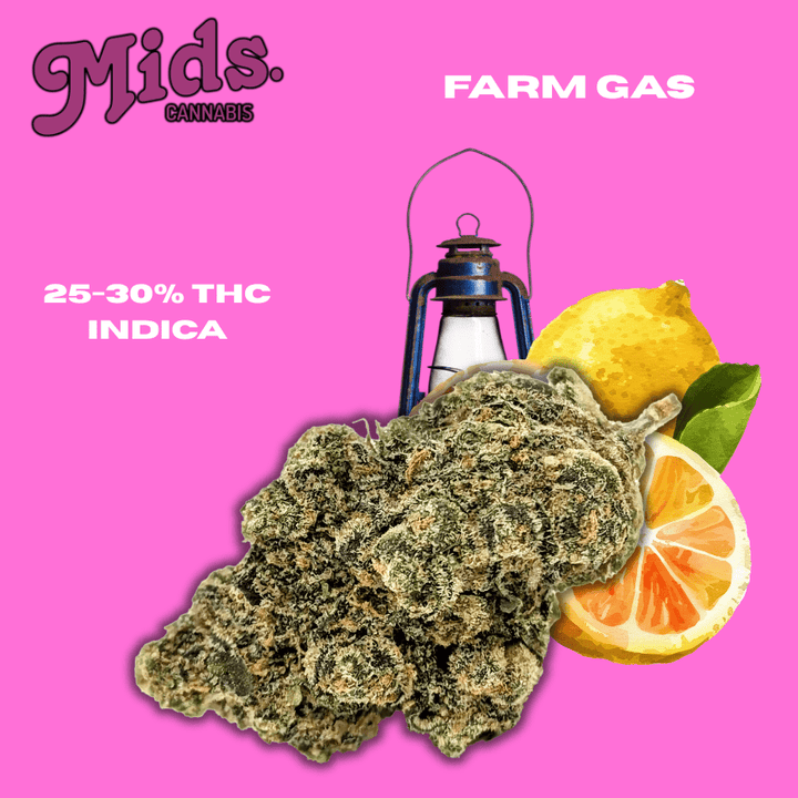 Mids Cannabis Farm Gas Flower - 28g 28g Morden Vape SuperStore and Cannabis Manitoba Canada