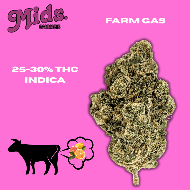 Mids Cannabis Farm Gas Flower - 28g 28g Morden Vape SuperStore and Cannabis Manitoba Canada