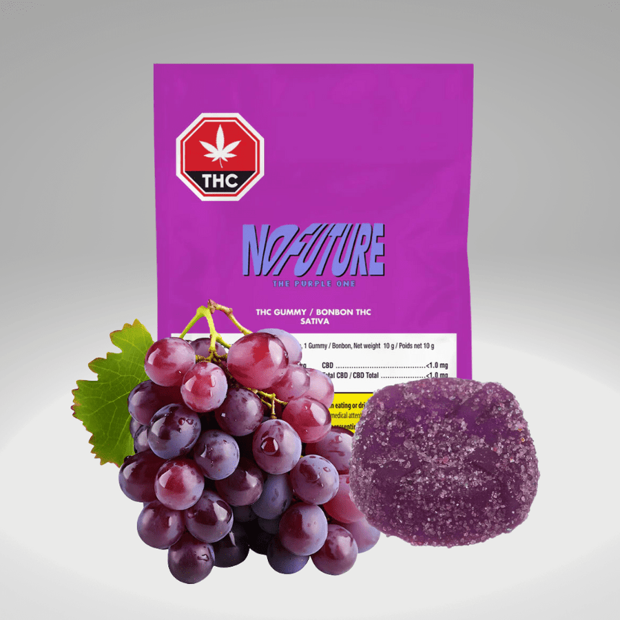 No Future Edibles 1x10mg No Future The Purple One Sativa Gummy-1x10mg-Morden Vape & Cannabis