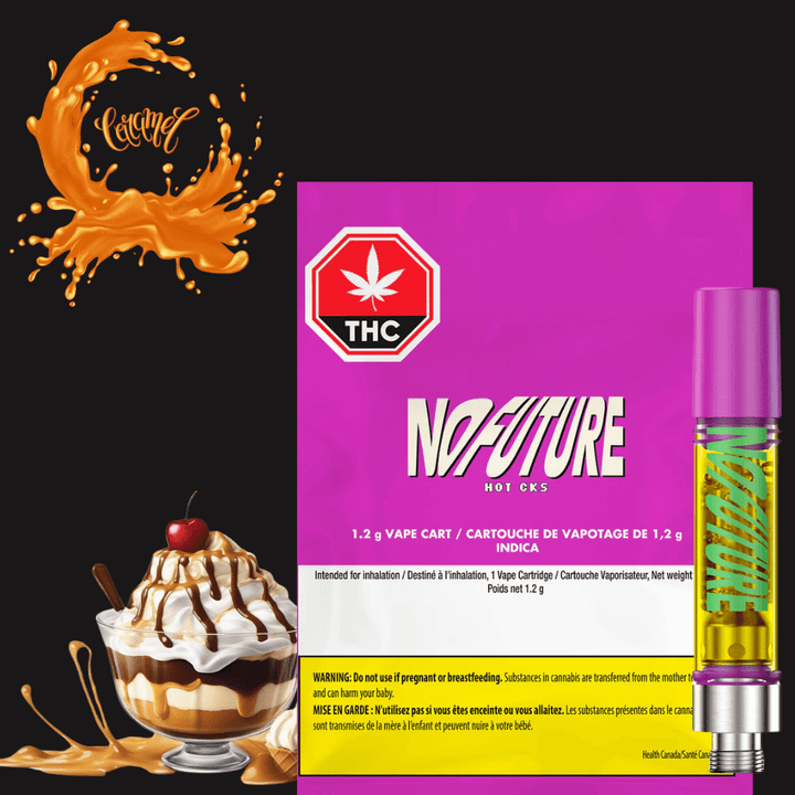 No Future Hot Cks Indica 510 Cartridge-1.2g 1.2g Morden Vape SuperStore and Cannabis Manitoba Canada