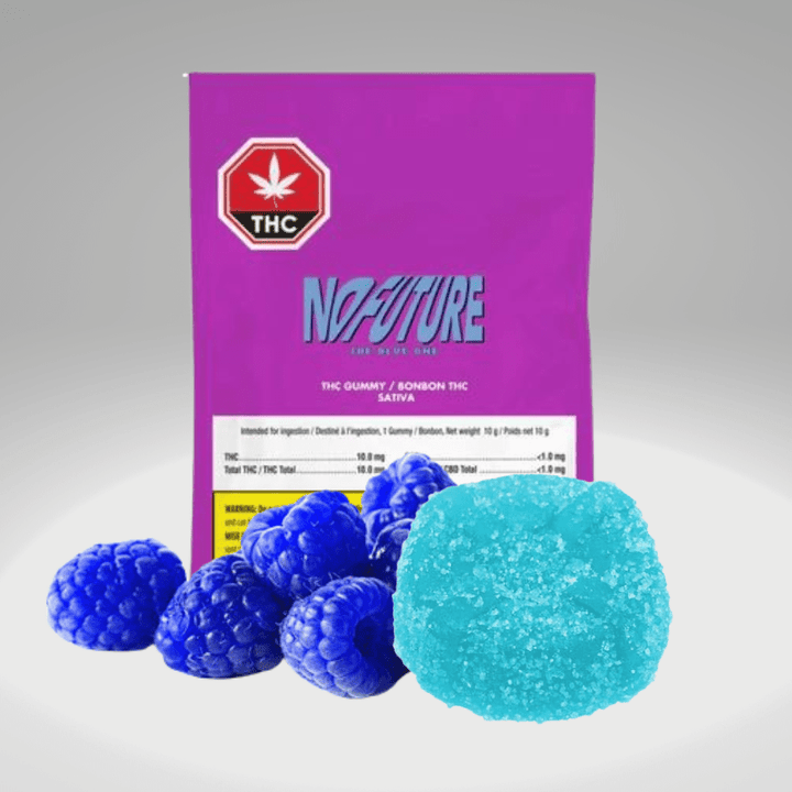 No Future The Blue One Sativa Gummy-1x10mg 1x10mg Morden Vape SuperStore and Cannabis Manitoba Canada