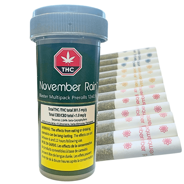 November Rain Blasters Multipack Pre-rolls 12x0.5g Morden Vape SuperStore and Cannabis Manitoba Canada
