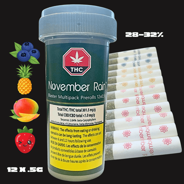 November Rain Blasters Multipack Pre-rolls 12x0.5g Morden Vape SuperStore and Cannabis Manitoba Canada