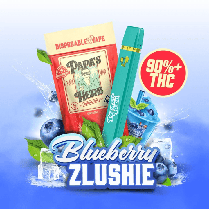 Papa's Herb Blueberry Zlshie Liquid Diamond Disposable-0.95g 1g Morden Vape SuperStore and Cannabis Manitoba Canada