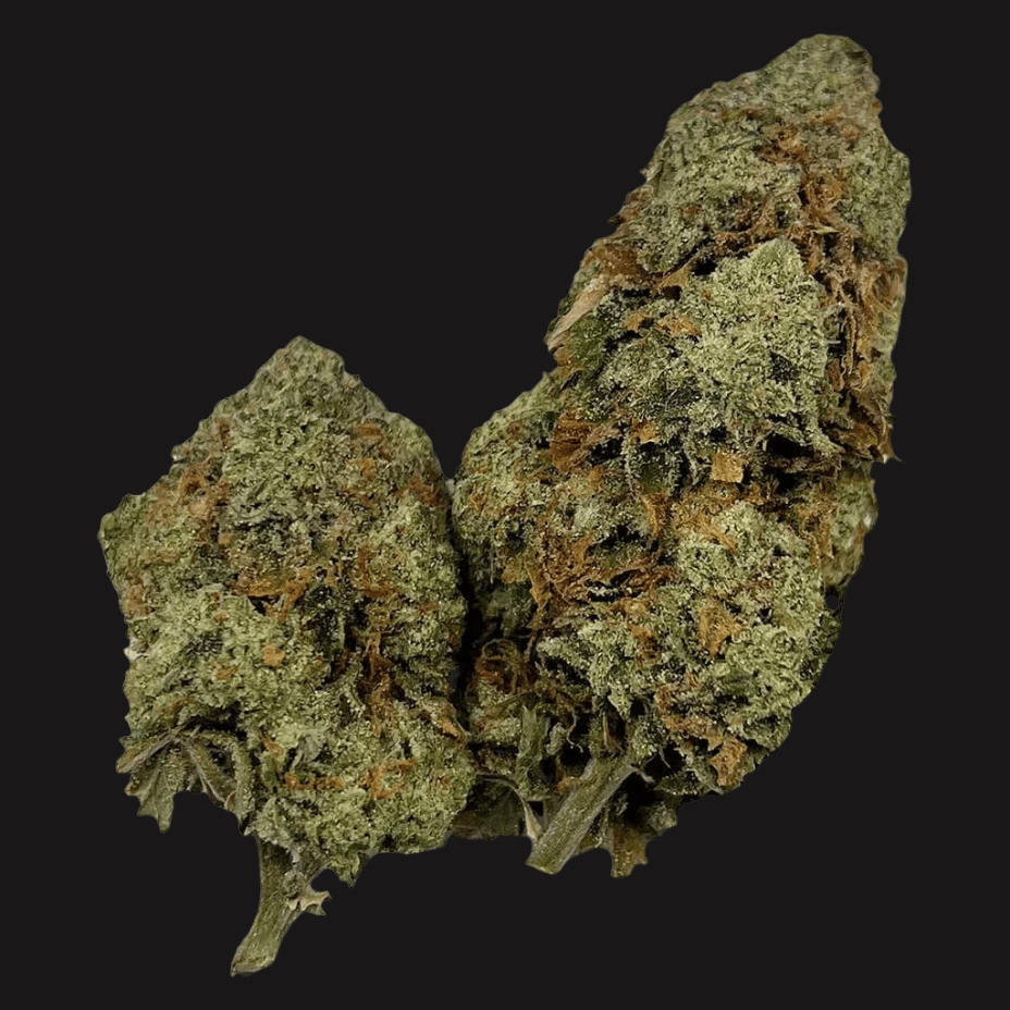 Puffer's Paradise Honah lee Haze Glass tip Sativa Pre-Roll-3x0.5g Morden Vape SuperStore and Cannabis Manitoba Canada