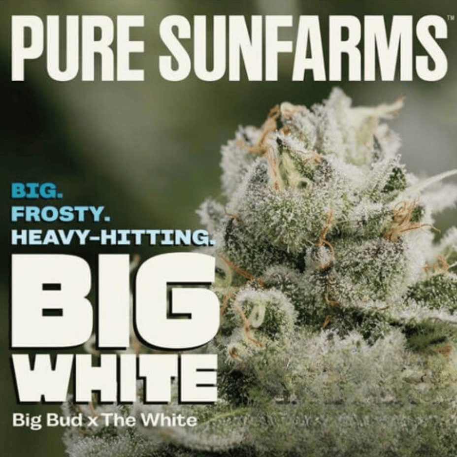 Pure SunFarms Big White Indica Flower-28g Morden Vape SuperStore and Cannabis Manitoba Canada