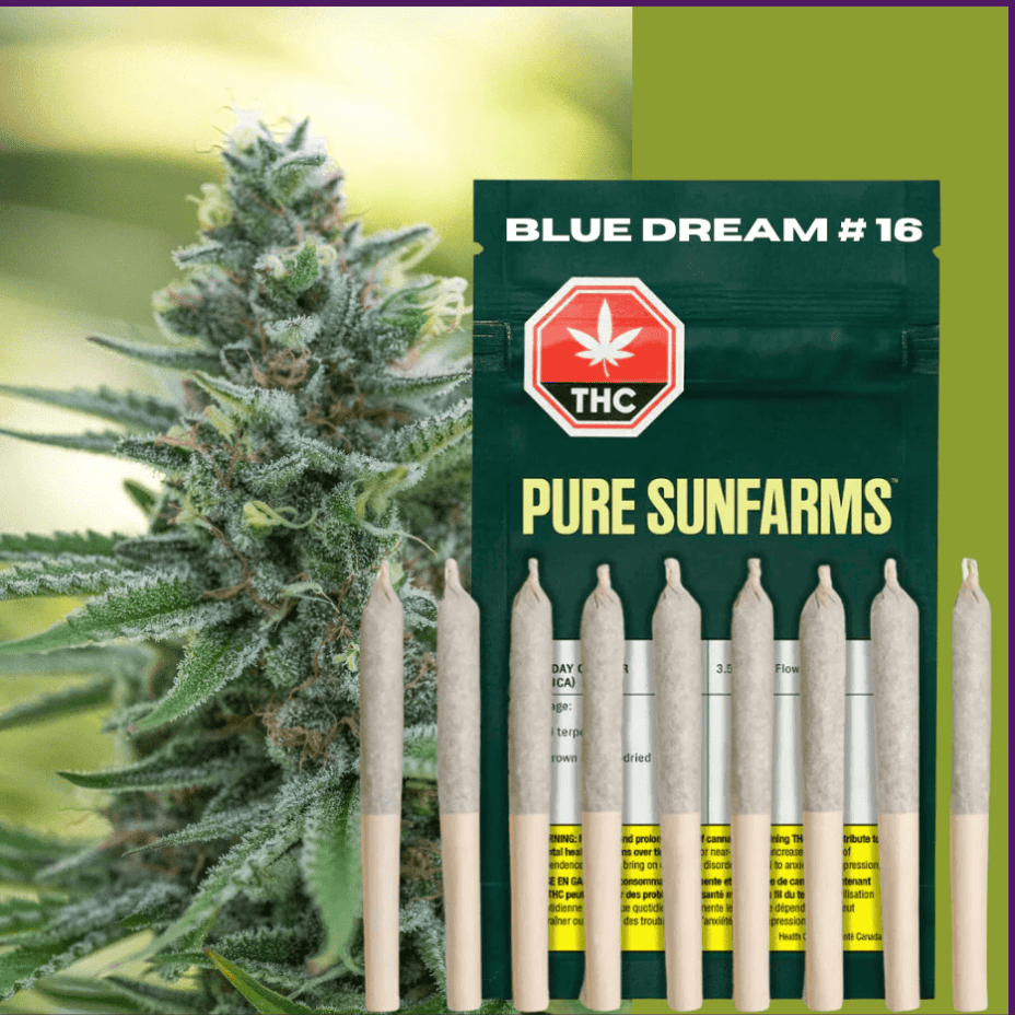 Pure Sunfarms Blue Dream #16 Sativa Pre-Rolls-10x0.35g Morden Vape SuperStore and Cannabis Manitoba Canada