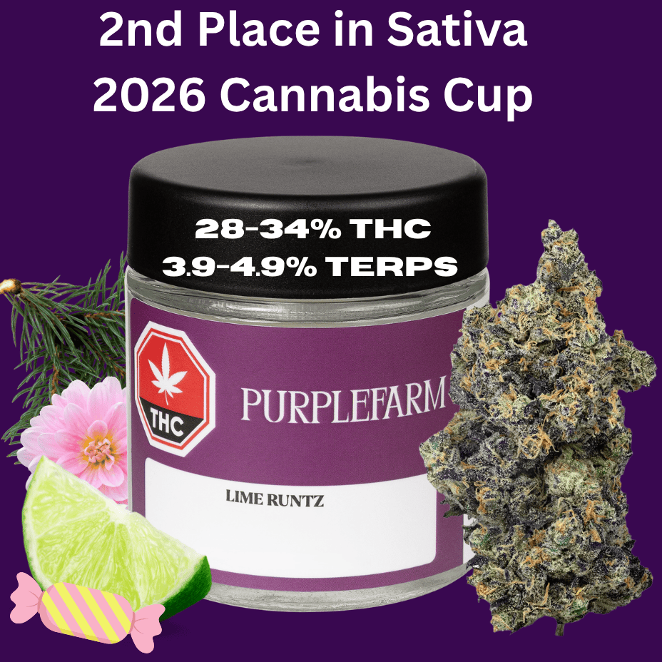 PURPLEFARM Lime Runtz Sativa CRAFT Flower - 3.5g Morden Vape SuperStore and Cannabis Manitoba Canada