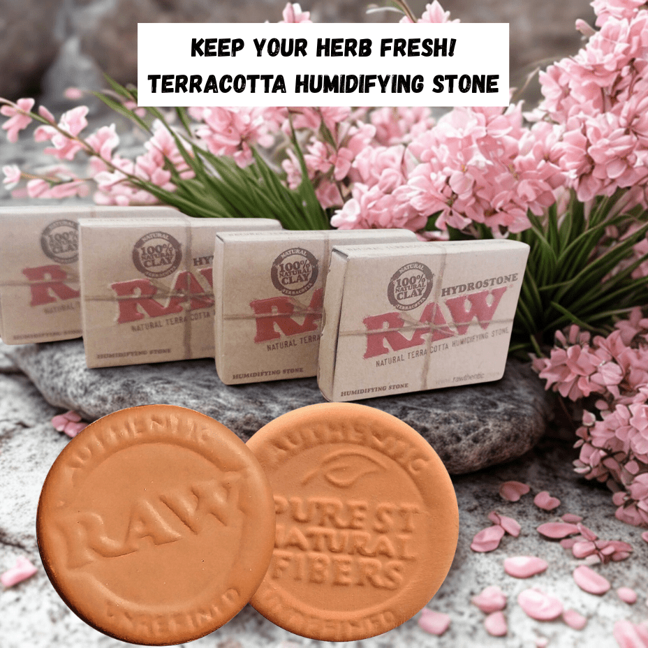 RAW Hydrostone l Natural Terracotta Humidifying Stone 1.5" Morden Vape SuperStore and Cannabis Manitoba Canada