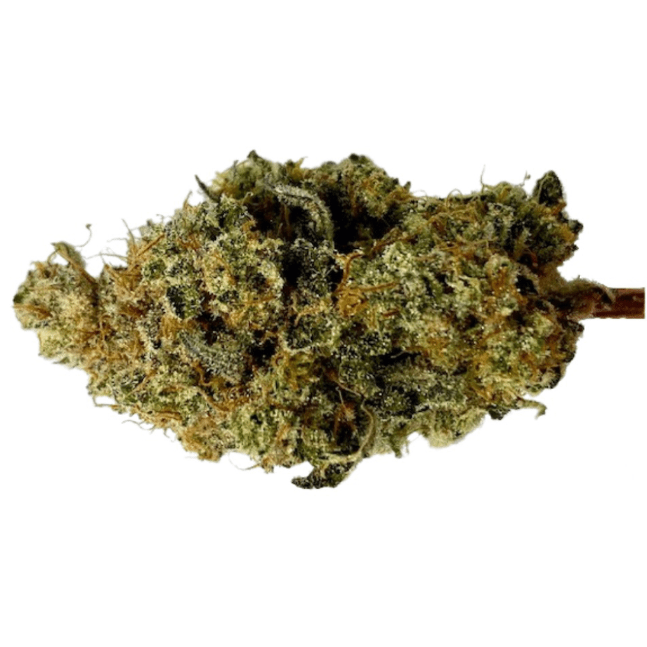 Ritual Flower 3.5g Ritual Green Black Mamba Indica Flower-3.5g-Morden Vape & Cannabis MB