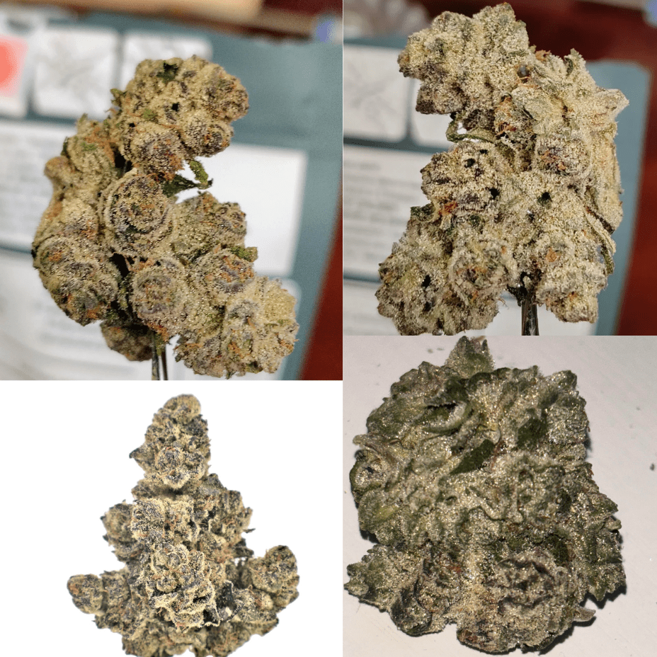 Ritual Green Strawberry Rizz Indica Flower - 3.5g 3.5g Morden Vape SuperStore and Cannabis Manitoba Canada