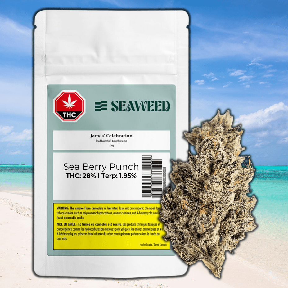 Seaweed Craft Cannabis James' Celebration Flower-3.5g 3.5g Morden Vape SuperStore and Cannabis Manitoba Canada