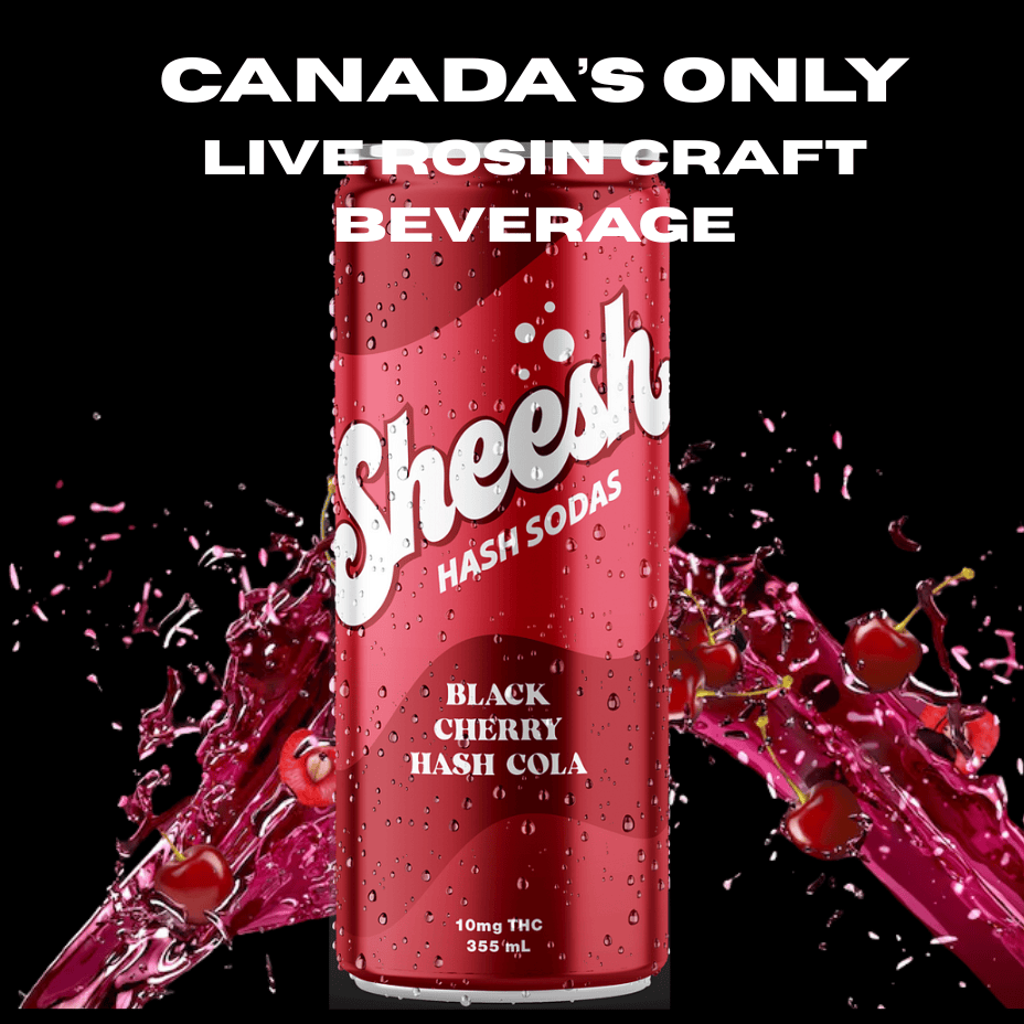 Sheesh Hash Soda - Cherry D Live Rosin Cola THC Beverage - 355mL Morden Vape SuperStore and Cannabis Manitoba Canada