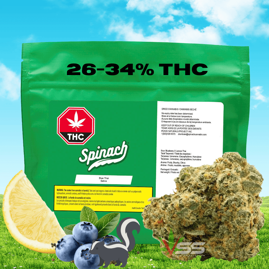 Spinach Blue Thai Sativa Flower - 28g Morden Vape SuperStore and Cannabis Manitoba Canada