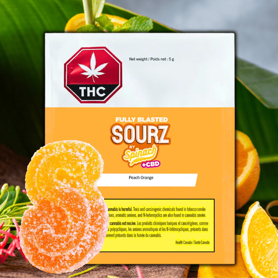 Spinach Sourz Fully Blasted 1:1 Peach Orange Gummy - 1x10mg Morden Vape SuperStore and Cannabis Manitoba Canada
