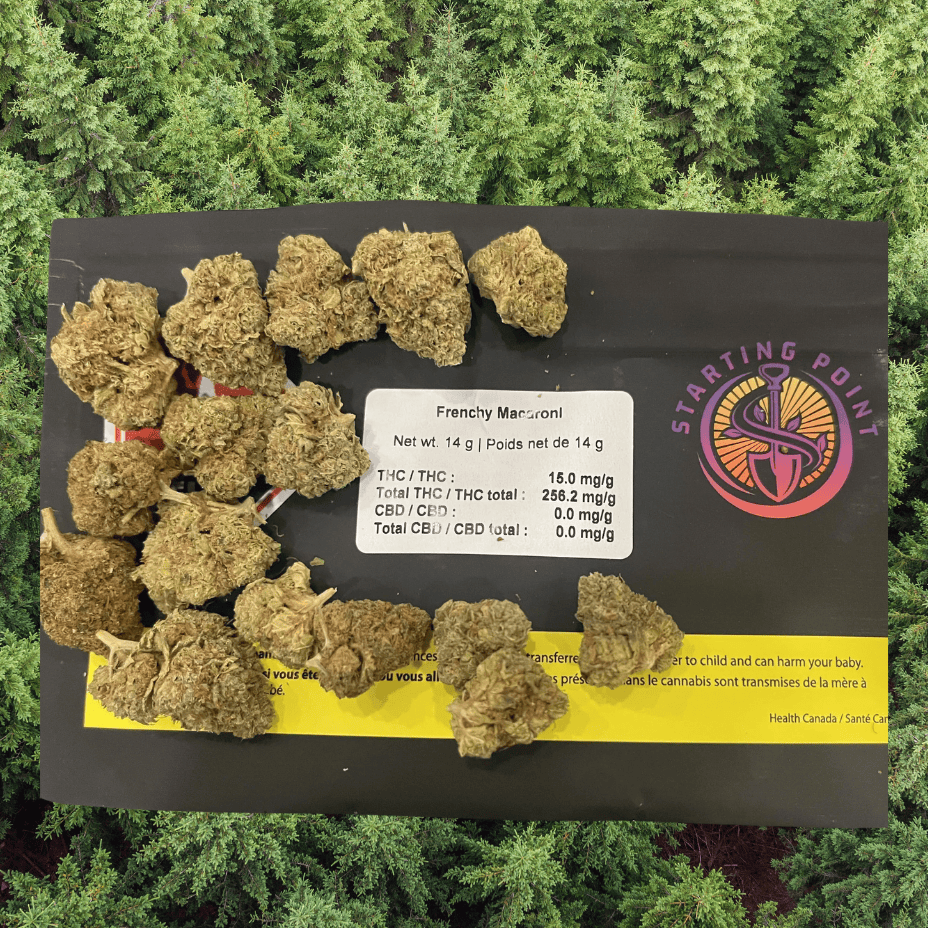 Starting Point French Macaroni Hybrid Flower-28g Morden Vape SuperStore and Cannabis Manitoba Canada