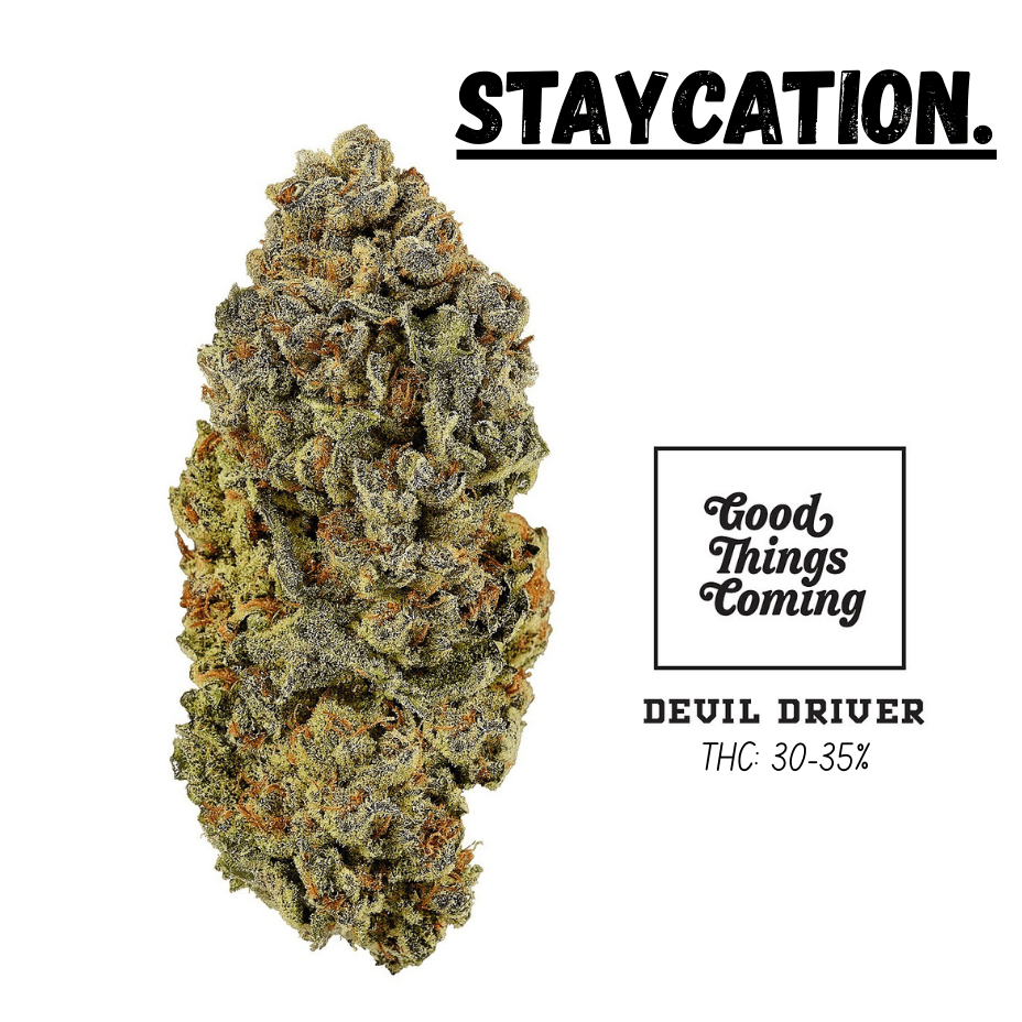 Staycation Cloud Kicker Sativa Flower-7g 7g Morden Vape SuperStore and Cannabis Manitoba Canada