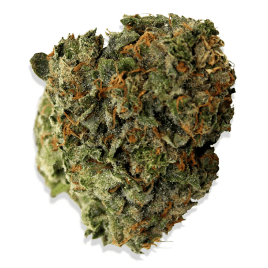 Steel City Green Flower 7g Steel City Green Kandy Kookies Sativa Flower-7g-Morden Vape & Cannabis