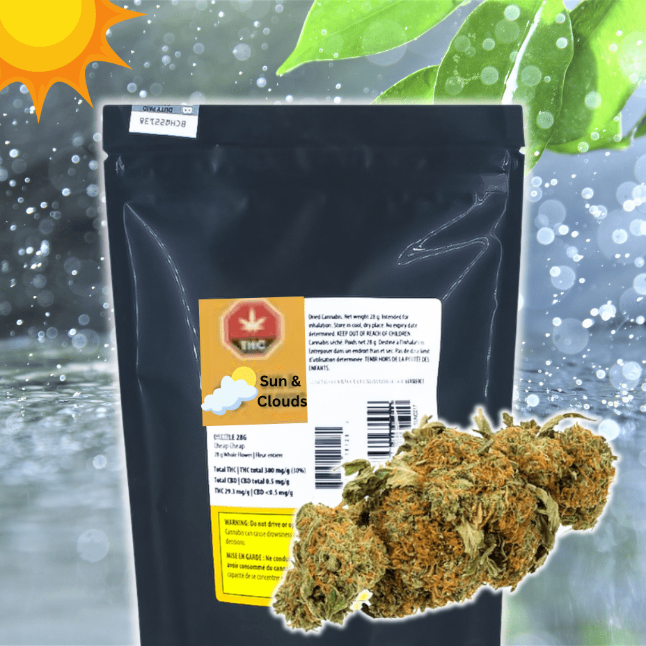 Sun & Clouds Drizzle Flower - 28g 28g Morden Vape SuperStore and Cannabis Manitoba Canada