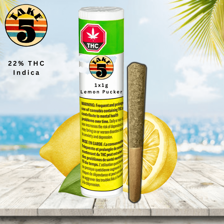 Take 5 Lemon Pucker Pre-roll 1x1g Morden Vape SuperStore and Cannabis Manitoba Canada