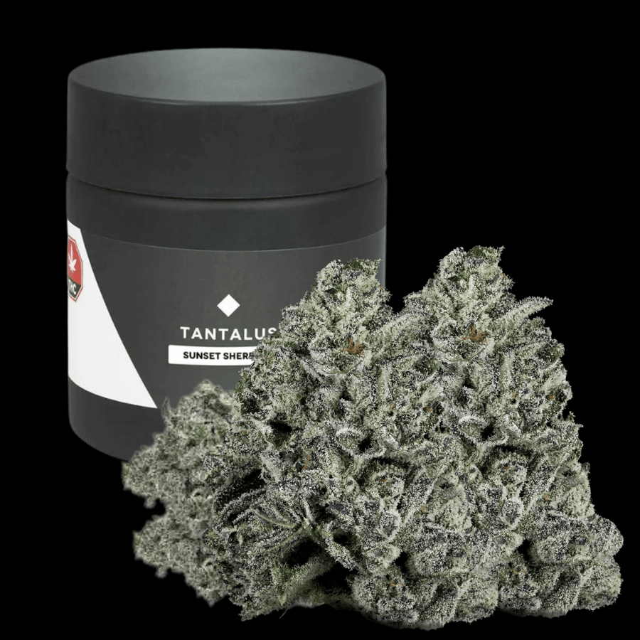 Tantalus Labs Flower Sunset Sherbert By Tantalus Labs-Morden Vape SuperStore & Cannabis