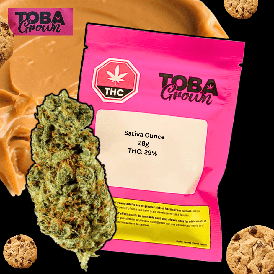 Toba Grown Sativa Ounce Flower-28g 28g Morden Vape SuperStore and Cannabis Manitoba Canada