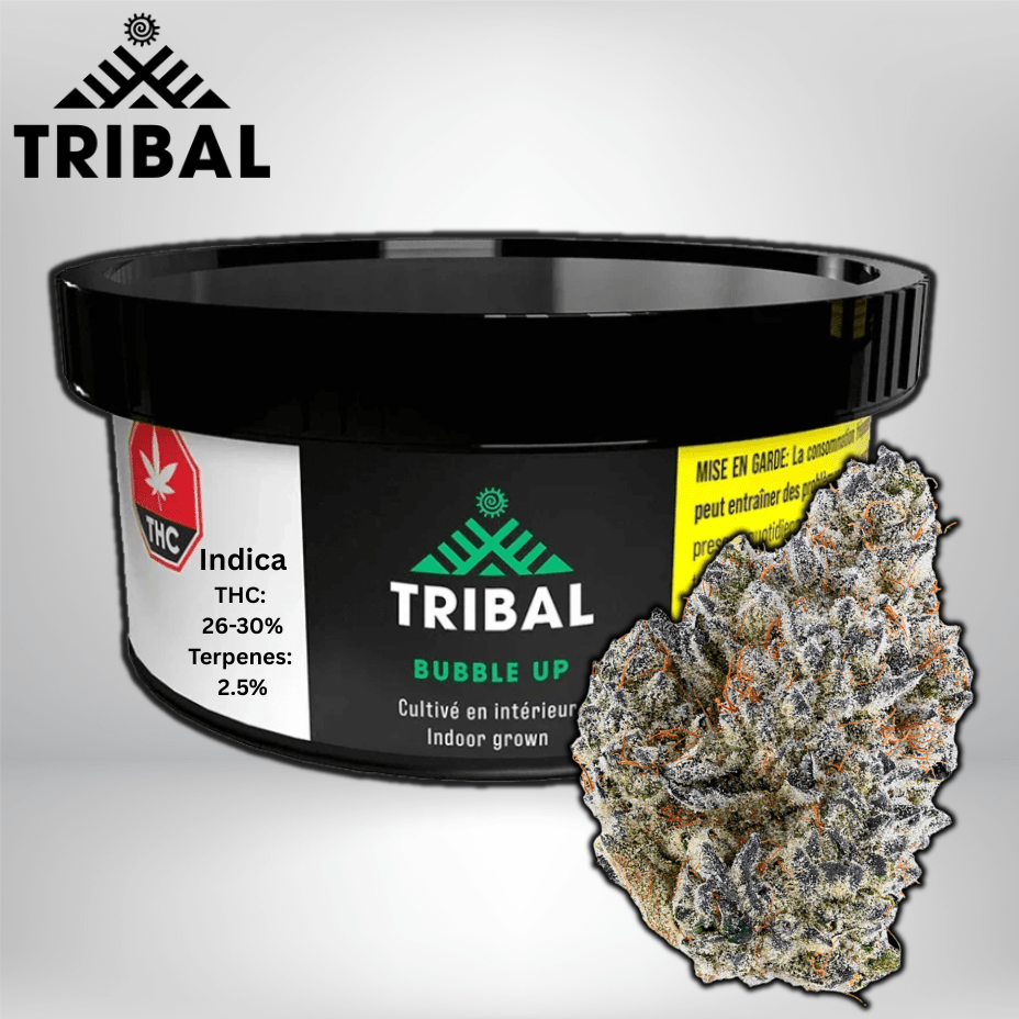 Tribal Bubble Up Indica Flower - 3.5g 3.5g Morden Vape SuperStore and Cannabis Manitoba Canada