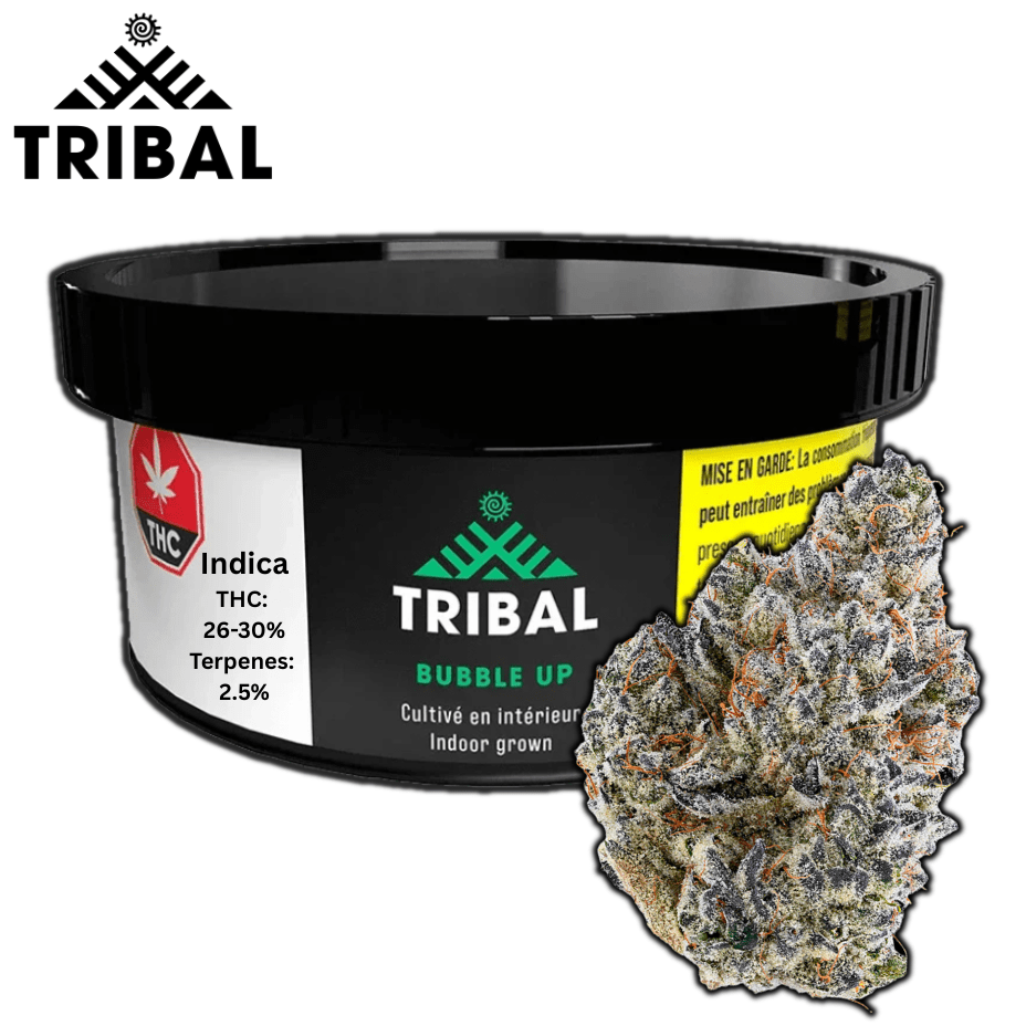 Tribal Bubble Up Indica Flower - 3.5g 3.5g Morden Vape SuperStore and Cannabis Manitoba Canada