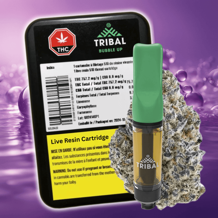 Tribal Bubble Up Live Resin Cartridge-1g Morden Vape SuperStore and Cannabis Manitoba Canada