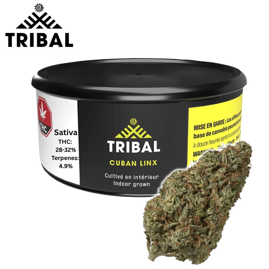Tribal Cuban Linx Sativa Flower - 3.5g 3.5g Morden Vape SuperStore and Cannabis Manitoba Canada