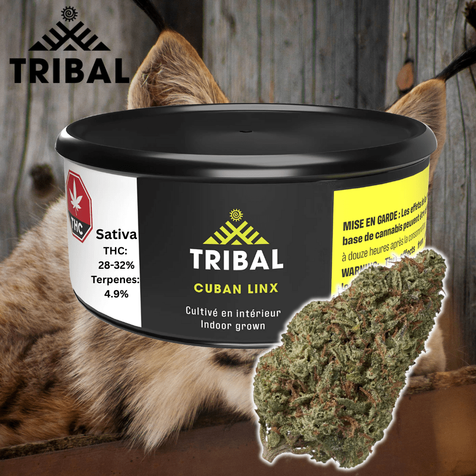 Tribal Cuban Linx Sativa Flower - 3.5g 3.5g Morden Vape SuperStore and Cannabis Manitoba Canada