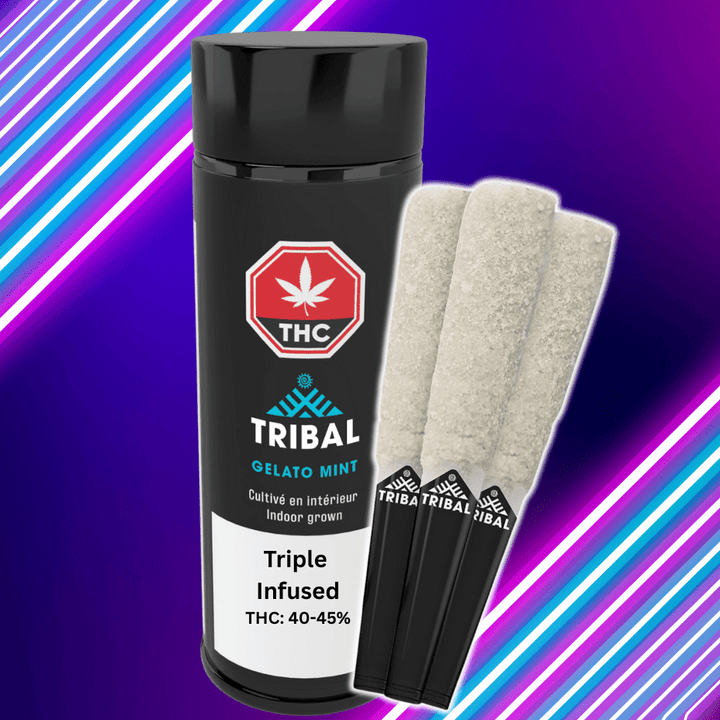 Tribal G Mint Trifecta Infused Pre-rolls 3x0.6g Morden Vape SuperStore and Cannabis Manitoba Canada