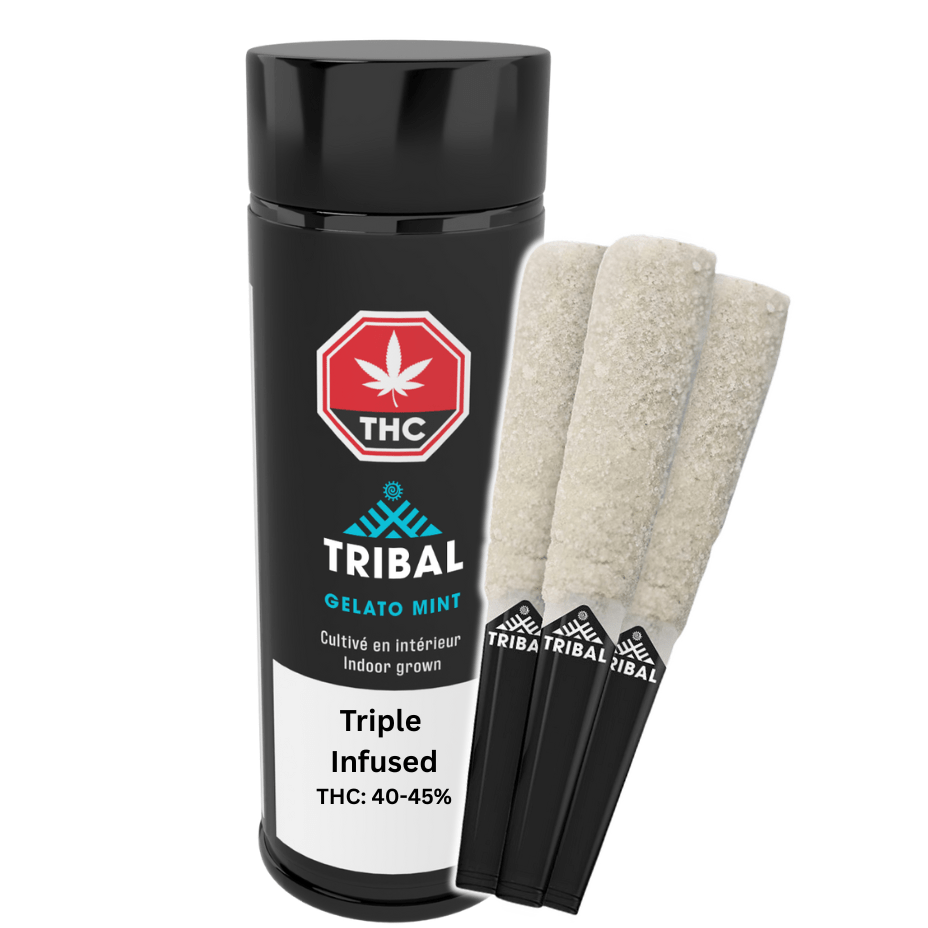 Tribal G Mint Trifecta Infused Pre-rolls 3x0.6g Morden Vape SuperStore and Cannabis Manitoba Canada