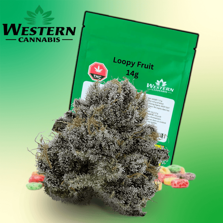 Western Cannabis Loopy Fruit Sativa Flower-14g 14g Morden Vape SuperStore and Cannabis Manitoba Canada