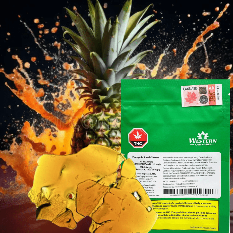 Western Cannabis Pineapple Smash Sativa Shatter-1g Morden Vape SuperStore and Cannabis Manitoba Canada