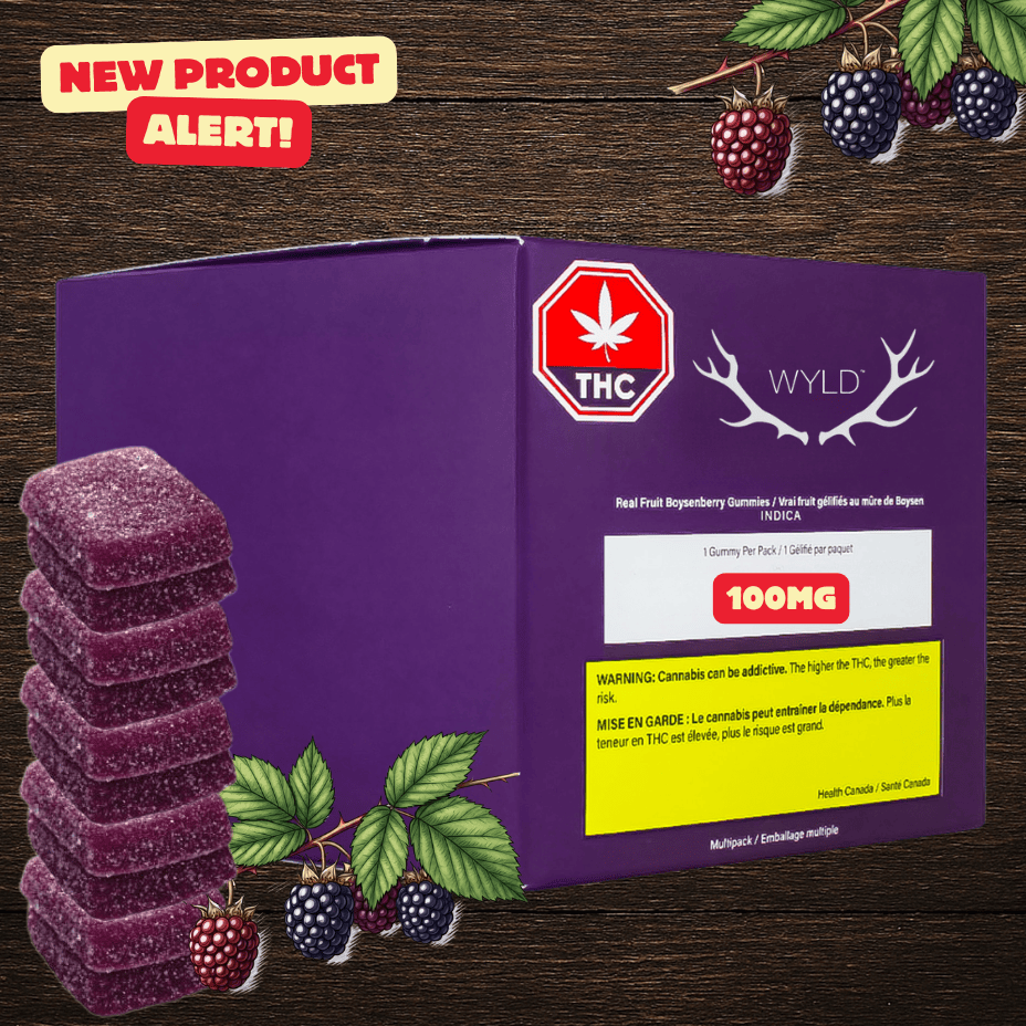Wyld Real Fruit Boysenberry 2:1:1 Indica Gummies - 10x10mg Morden Vape SuperStore and Cannabis Manitoba Canada