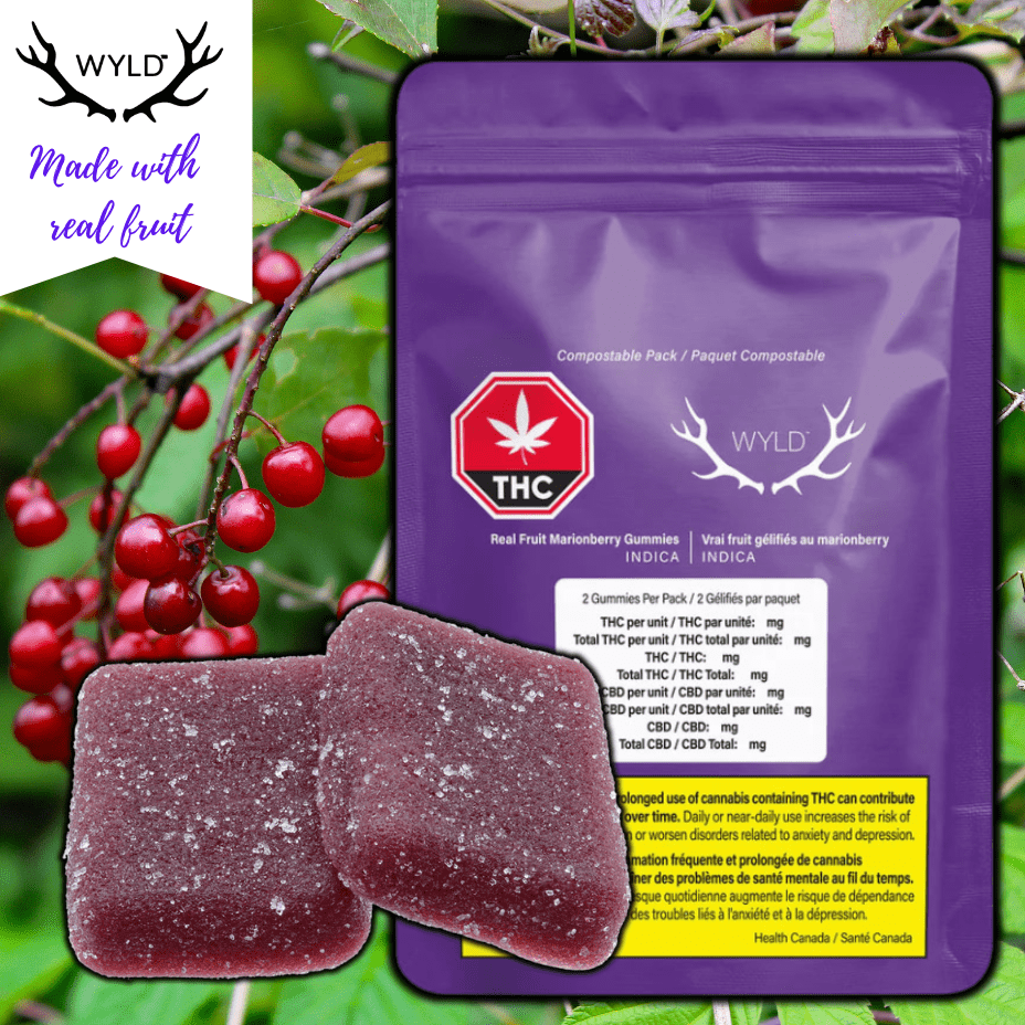 Wyld Real Fruit Marionberry Indica Gummies-2x5mg 2x5mg Morden Vape SuperStore and Cannabis Manitoba Canada