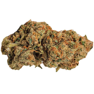 Bold Growth Death Star Sativa flower 3.5g-Morden Vape SuperStore & Cannabis Dispensary in Manitoba