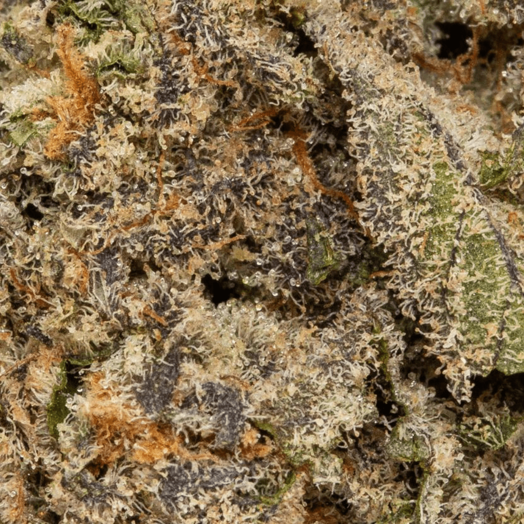 Highland Grow Flower 3.5g Diamond Breath by Highland Grow-Morden Cannabis and Bong Shop